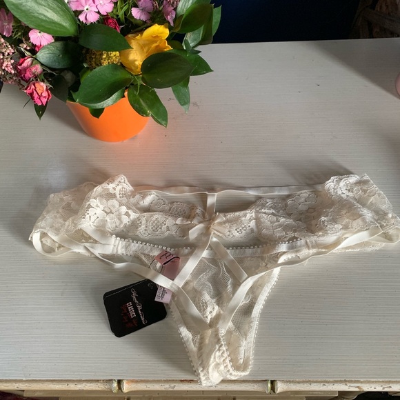 SOLD_BNWT Agent Provocateur Lacy Brief $100 size 4 - Picture 6 of 6